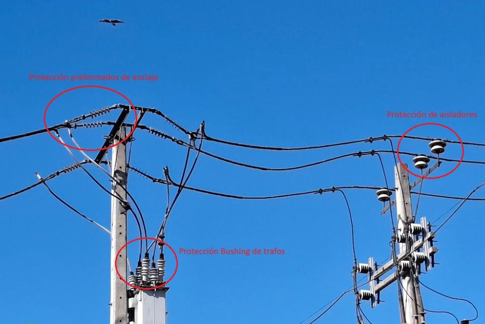 Diagnóstico de puntos de riesgo en una red de distribución